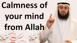 Ease Your Mind with Allah | Mohammad AlNaqwi