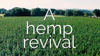 Wicked Leeks | A hemp revival