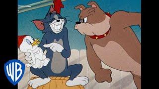 Tom & Jerry in italiano | Cartoni Animati Classici Compilazione | Tom, Jerry, e Spike | WB Kids