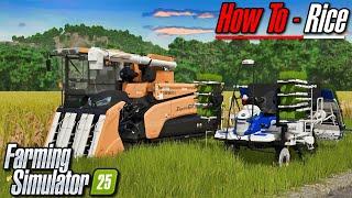 FS25 Tutorial - Rice | Farming Simulator 25