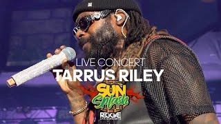 Tarrus Riley & Black Soil Band Live at Reggae Sunsplash Festival 2024