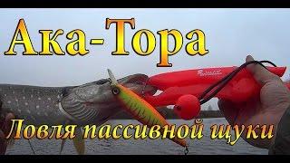 "Ака-Тора". Ловля мега-пассивной щуки на воблеры осенью. Провокаторы работают!