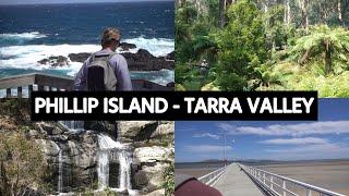 Phillip Island to the Tarra Valley | Camping & Waterfalls