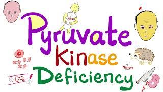 Pyruvate Kinase Deficiency - Hemolytic Anemia - Biochemistry & Hematology