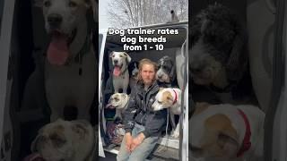 DOG TRAINER RATES BREEDS. PT.2. #dog #dogtraining #dogbreed