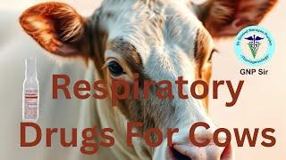  Do Cows Really Need Respiratory Drugs This Often? Find Out! 🫁