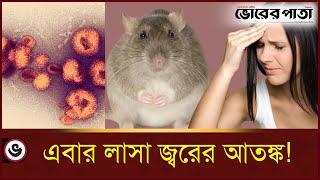 ইঁদুরের মাধ্যমে ছড়ানো নতুন আতঙ্ক 'লাসা জ্বর' | Lassa fever | Vorer Pata