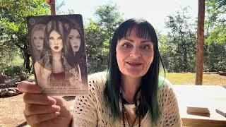 “You’ve Changed—Now Live Like It” - collective tarot reading