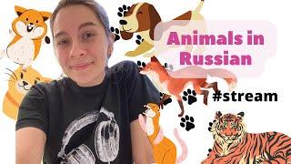 Animals Russian for beginners Funny Drawings