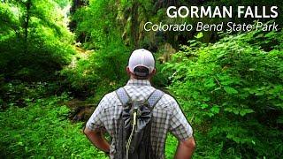 Gorman Falls: The Most Beautiful Waterfall in Texas!