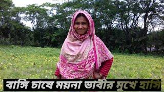 ফুট চাষে সফল ময়না ভাবী || বাংগি চাষ পদ্ধতি || ঝালকাঠি, বরিশাল || vhumi tv || vhumi krishi