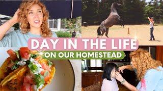 I guess I have three new babies now ... / Day in the Life on our Homestead!