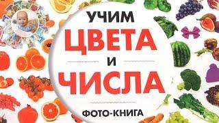 "Учим цвета и числа." Фото-книга для малышей. Детская книга