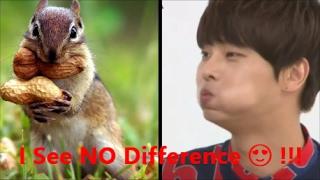 VIXX N (Chubby Cheeks Edition)