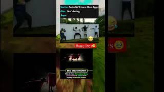 Happy Days  #viral #funny #shorts