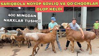 SARIQ BOLA YANA REKO‘RT QO‘YDI NARXLARDI TUSHURVORDI