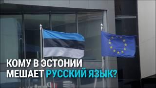 Борьба с русским языком в публичном пространстве: для чего в Эстонии появилась "Языковая дружина"