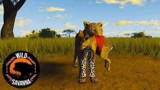 The Swift Leopard Hunt | Wild Savannah