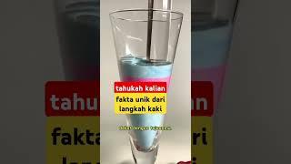 fakta tentang langkah kaki #motivasi