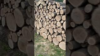 The Wall‼️ #firewood
