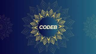 codeB - Afro Melodica Mix