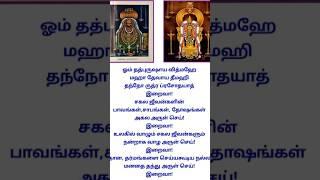 Wedding Behind_Anandham Caterers #shorts #tamil #tamilsong #music #trending #love #catering #god