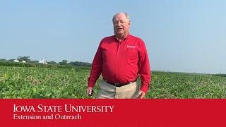 Integrated Weed Management Strategies in Soybeans