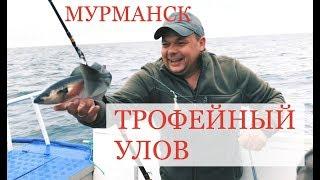 Морская рыбалка в Мурманске. ТРОФЕЙНАЯ ТРЕСКА/  Москва-Мурманск