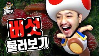 버섯(Mushroom)에 대해 알아보자