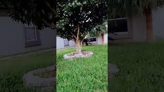 House for Sale in Orlando,  Florida $275K