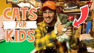 How-To | Take Care of a Cat  (for Kids!!)