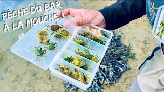 PÊCHE du BAR à la MOUCHE en BRETAGNE par Jean Baptiste Vidal  [ VERSION COURTE ]