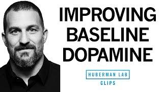 Improve Your Baseline Dopamine for Motivation & Drive | Dr. Andrew Huberman