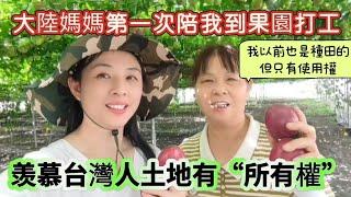 大陸媽媽羡慕台灣人土地有“所有權”第一次陪我到果園打工！..#陸配#台灣媳婦#大陸 #新住民 #兩岸#探親#3寶媽#單親#分享