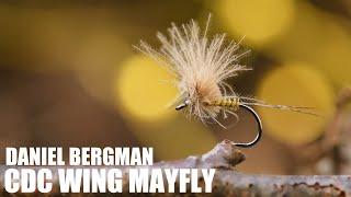 Cdc Wing Mayfly - Daniel Bergman