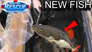 Last Minute Rescue! What did we get?