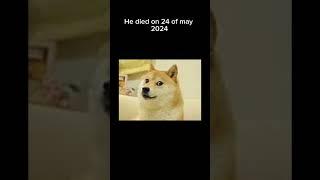 R.I.P Doge  #rawr #doget #rawr #lol #comedyfilms #shimmy #yaar #heheboi #hehe #comedymovies #yaaa