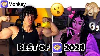 BEST OF AESTHETICS ON MONKEY 2024 EDITION