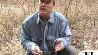 Spring herp series: Spotted salamander - timesleader.com