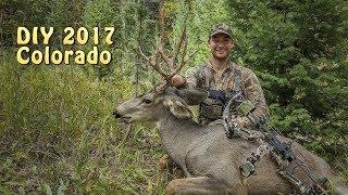 DIY Colorado Mule Deer 2017