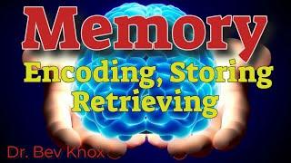 Psychology of Memory Encoding, Storing & Retrieving