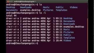 Linux Essentials L2.3 Using Directories and Listing Files