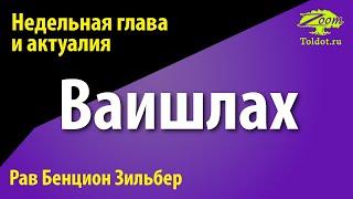 Недельная глава Ваишлах. Рав Бенцион Зильбер