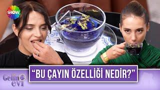 Buse Gelin'den misafirlerine 'Mavi Kelebek' çayı ve yaban mersini ikramı! | Gelin Evi 1391. Bölüm