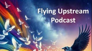  Flying Upstream | Christine J & Stephen Olson