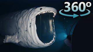 Bloop in 360° VR / 4K