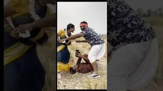 #wait for result #folksong #shoot#shortfeed #tredingshorts #shortsviral #folkdance #shorts #rgr
