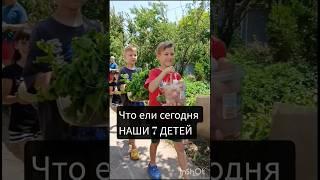 #ферма #рецепты #shorts #food #еда #дети #многодетные #родители #мама #огород #вкусно