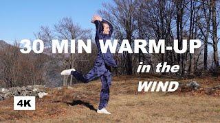 30 MIN TAI CHI WARM UP and STRETCHING in the Wind - Power of Nature to Tone the Whole Body