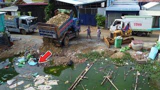 FIRST Job Dump Truck 5Ton Filling stone into water, Bulldozer D21P technique Pushing Soil, Mix VDO